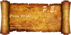 Pess Erik névjegykártya